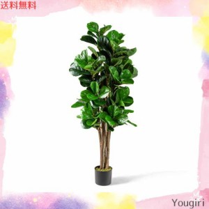 屋外 観葉 植物の通販｜au PAY マーケット｜4ページ目