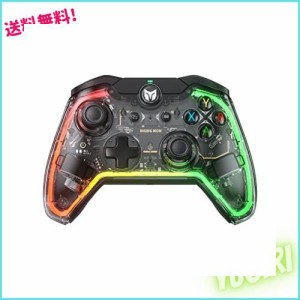 PCコントローラー、BIGBIG WON Rainbow Lite有線ゲームコントローラー、PC RGBライト、カスタムボタン、マクロ、ターボ、Switch/PC用デュ