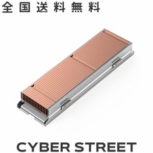 ORICO M.2 SSDヒートシンク、銅フィンM.2クーラー、M.2 2280mm SSD両面ヒートシンク、サーマルパッド付き熱伝導+アルミニウム冷却、PC用