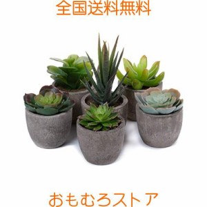 T4U フェイクグリーン 観葉植物 人工観葉植物 人工多肉植物 造花 インテリア ６点入り お世話不要 プレゼント