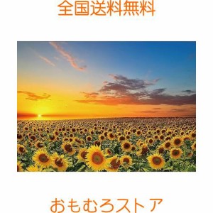 ジグソーパズル1000ピース ひまわり 風景 自然 ひまわり畑 パズル 向日葵 花畑 花 おしゃれ インテリア（70×50cm）