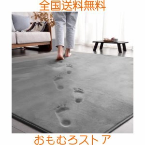 aicomri カーペット ラグマット ラグ 低反発 3畳 厚手15mm 190x240cm 洗える じゅうたん 厚い ホットカーペットカバー 滑り止め付 撥水加