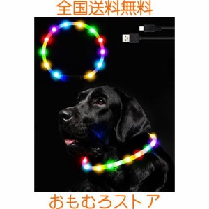 Nayouko 光る首輪 犬 LEDライト USB充電式 軽量 小型犬 中型犬 大型犬 ペット用品 視認距離400mで夜間も安心 サイズ調節可能 (レインボー