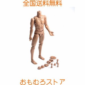 12インチ男性兵隊の体型モデル 筋肉男性ボディモデル 1/6ヘッドスカルプトに適合 アクションフィギュア本体