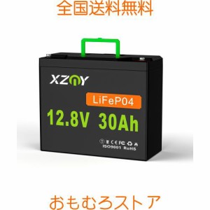 XZNY 12V 30Ah リン酸鉄リチウムイオンバッテリー 充電式バッテリー LiFePO4ディープサイクルバッテリー 5000回以上のサイクル寿命 20A B