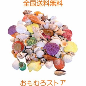 siawadeky カラフル 貝殻 約170個 250g アソート セット 天然素材 ミックス ビーチシェル 水族館/水槽/鉢植え/ドリフトボトル 飾り ビー