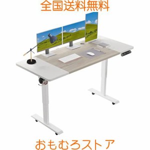 Radlove パソコンデスク 電動昇降式 デスク 電動式 パソコンデスク ゲーミングデスク 机 電動昇降式スタンディングデスク PCデスク つく