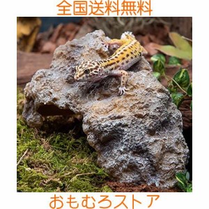 Hikigaeru 爬虫類シェルター テラリウム 小 (S) 隠れ家 水槽 亀 トカゲ 両生類 飼育 バスキングスポット 熱帯魚 水槽内アクセサリー オー