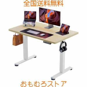 ErGear 電動 昇降式デスク スタンディングデスク オフィスワークテーブル 幅100cm 耐荷重80kg 高さメモリー機能 上下自動昇降 衝突検知 