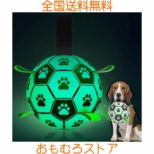 Healthman 暗闇で光るストラップ付き犬用おもちゃボール、インタラクティブな犬用おもちゃ小犬と中犬用のサッカー、点灯します (Large)