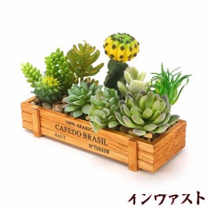 [Amazon限定] EnergyPower フェイクグリーン 人工多肉植物＆サボテン9種類寄せ植え ウッドボックスセット おしゃれ盆栽 水やり不要 枯れ