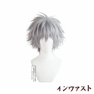 BBYMECO コスチューム 渚カヲル cosplay wig コスプレウィッグ スタイリング櫛 ネット 付き