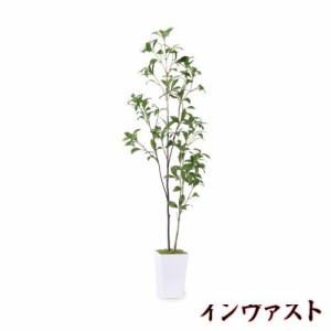 フェイクグリーン 人工観葉植物 【アセビ 馬酔木】高さ110cm 観葉樹 造花 光触媒 空気清浄 屋内 オフィス 鉢植え 植木