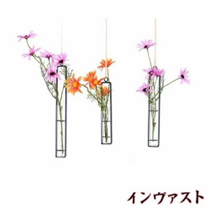 AIVAR ガラス 花瓶 壁掛け 花瓶 一輪挿し 吊り下げ 3本セット ゴンドラ おし花瓶 はなかご おしゃれ 花瓶 北欧 花瓶フラワーベース 花器 