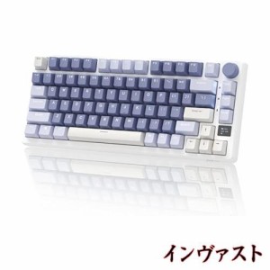 RK ROYAL KLUDGE M75メカニカルキーボード、2.4GHzワイヤレス/ブルートゥース/USB-C有線英語配列ゲーミングキーボード75%、OLEDスマート