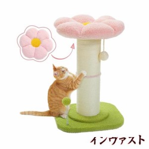 PAWZ Road 猫 爪研ぎ キャットタワーミニ 極太 爪研ぎポール 柱直径14cm お花 猫タワー 低い コンパクト 省スペース 天然サイザル麻紐 バ