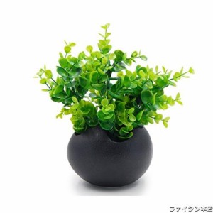 TOSSOW 植木鉢 陶器鉢 卵形 多肉植物 サボテン鉢 ハーブ プランター容器 おしゃれ プレゼント ミニ ブラック