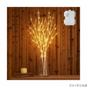 Hairui 白樺 100LED 枝 80cm イルミネーション 電池式 間接照明 ブランチツリー ストリングライト オシャレ 北欧風 タイマー機能 防水 白