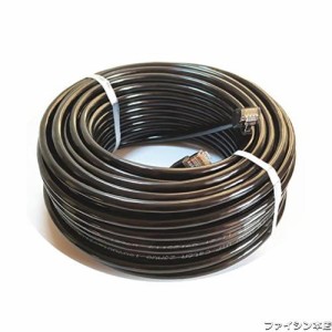 50M CAT6A 屋外 LANケーブル 屋外仕様 2重被覆 PoE対応 カテゴリー6A 屋外用 コネクタ付 インターネットケーブル 紫外線 難燃性 耐候性 