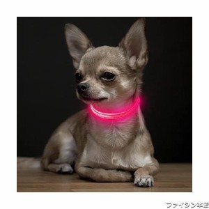 Weesiber LED 光る首輪, USB充電式発光 犬 首輪 光る犬の首輪 犬用夜間散歩ライト ひかる 猫の首輪 小型犬 中型犬 大型犬 犬首輪ライト (