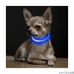 Weesiber LED 光る首輪, USB充電式発光 犬 首輪 光る犬の首輪 犬用夜間散歩ライト ひかる 猫の首輪 小型犬 犬首輪ライト (青い, 8.5-11.8