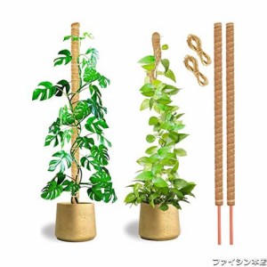 支柱 園芸 ガーデニング 支柱 モンステラ つ観葉植物 ヘゴ 支柱 モスポール ポトスタワー支柱 天然ココナッツ製 長さ114cmの2本 DIY可能