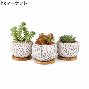 T4U 10CM セメント製 植木鉢 おしゃれ プランター 多肉植物鉢 サボテン鉢 竹製受け皿付き 底穴ある 小型植物適用 葉模様 北欧風 3個セッ