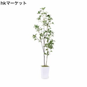 フェイクグリーン 人工観葉植物 【アセビ 馬酔木】高さ110cm 観葉樹 造花 光触媒 空気清浄 屋内 オフィス 鉢植え 植木