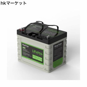 RoyPow 12V 30Ah リン酸鉄リチウムイオンバッテリーLiFePO4 電動リール用バッテリー 3500サイクル BMSバッテリシステム内蔵 子供用スクー