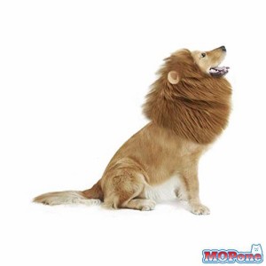 犬 ライオンに変身 ウィッグ 犬コスチューム 犬用 コスプレ キャップ かぶりもの リアル たてがみ 中型犬 大型犬 帽子 着ぐるみ おもしろ