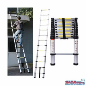 DayPlus 伸縮はしご 最長5 m (16.5 ft) 折り畳み伸縮梯子 多機能アルミはしご 持ち運びに便利 軽量 耐荷重150 kg 室内室外両用 自動ロッ