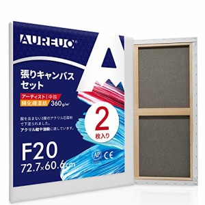 AUREUO 張りキャンバス セット F20 (72.7cmX60.6cm) 中目 綿化繊混紡 2枚 初心者 絵画用具 芸術絵創作 現代油絵 美術装飾 水彩画・油絵画