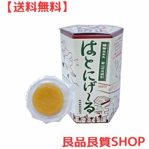 鳩よけ/鳩忌避剤 「はとにげ〜る」 【10個入り】 日本製 ［鳥被害/鳩の糞対策］ ds-213429