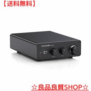 Fosi Audio TB10D 600W パワーアンプ TPA3255 デジタルアンプ 2.0CH 小型 オーディオ HiFi ステレオ クラスD アンプ スピーカー用 家庭用