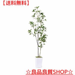 フェイクグリーン 人工観葉植物 【アセビ 馬酔木】高さ110cm 観葉樹 造花 光触媒 空気清浄 屋内 オフィス 鉢植え 植木