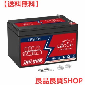 LEOCH 12V 12Ah リン酸鉄リチウムイオンバッテリー LFELI-1212M BMS保護 4直列/並列可能 3000+サイクル寿命 電動リール/魚群探知機/ソー