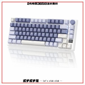 RK ROYAL KLUDGE M75メカニカルキーボード、2.4GHzワイヤレス/ブルートゥース/USB-C有線英語配列ゲーミングキーボード75%、OLEDスマート