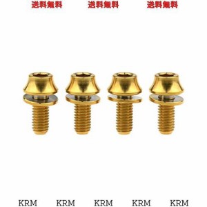 Dingtai チタンM5x12mmワッシャー自転車ウォーターボトルケージヘックスボルトパック4個 (ゴールデン) [並行輸入品]