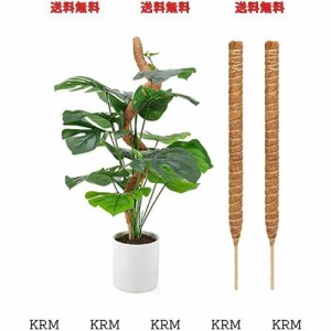 OKTOKYU 園芸支柱 観葉植物モンステラ ココスティック ココナッツ ガーデニング つる植物 支柱 植物サポート プラントクライミングポール