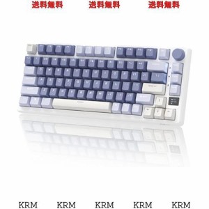 RK ROYAL KLUDGE M75メカニカルキーボード、2.4GHzワイヤレス/ブルートゥース/USB-C有線英語配列ゲーミングキーボード75%、OLEDスマート