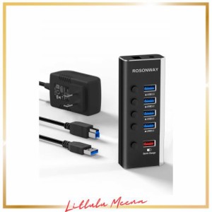 ROSONWAY USB ハブ電源付き アルミ製 4ポートUSB3.0高速拡張+1つの急速充電ポートUSB Hub セルフパワー 12V/2A ACアダプタ 独立スイッチ