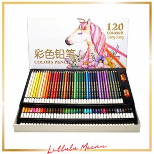 120色鉛筆セット、ソフトコア、アート着色絵画鉛筆、大人、初心者、子供向けの色塗りの本、プロの芸術スケッチ、絵画ミックス、階層、手