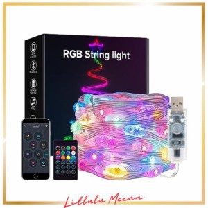 BTF-LIGHTING イルミネーションライト 5M 33LEDs 飴ボール型 フェアリーライト 虹の色 WS2812BIC USB式 DC5V クリスマス飾り IP65防水 コ