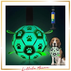 Healthman 暗闇で光るストラップ付き犬用おもちゃボール、インタラクティブな犬用おもちゃ小犬と中犬用のサッカー、点灯します (Large)