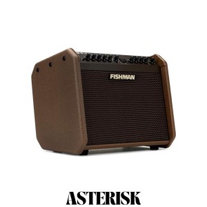 FISHMAN フィッシュマン ラウドボックス・ミニ・チャージ 60W アコースティックギターアンプ BT内蔵 小型・軽量・充電バッテリー式