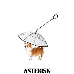 Lesypet 犬用傘 ペット雨具 C型手元 梅雨対策 散歩用透明傘 折り畳み式リード傘 小型犬中型犬に適用