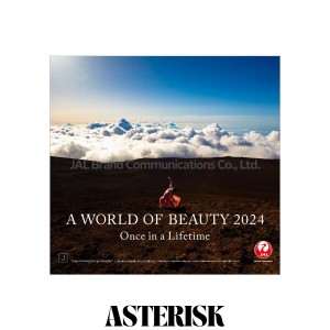 JAL「A WORLD OF BEAUTY」（普通判） 2024年 カレンダー CL24-1132