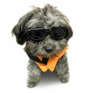 Dog Goggles - Small Dog Sunglasses Waterproof Windproof UV Protection For Doggy Puppy Cat - Black 141［並行輸入］