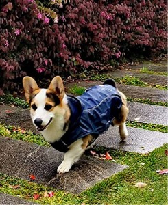 ASMPET ドッグ レインコート ポンチョ 防水 防雪 ペット用品 雨具 中型犬 帽子付 犬用 レインコート 着脱簡単 通気 軽量 犬 レインコート