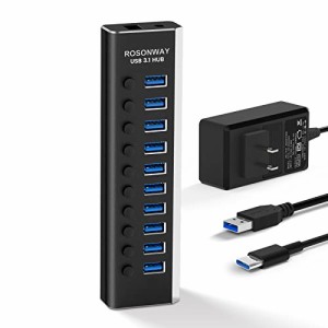 ROSONWAY USB ハブ 3.1 Gen2 10Gbps 10ポートアルミ製 36W USB HUB セルフパワー USBケーブルとType Cケーブル 付き 12V/3A ACアダプタ 